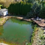 Ein Teich mit goldenen Fischen, umgeben von Grünpflanzen, mit einer Terrasse und einem kleinen Haus im Hintergrund.
