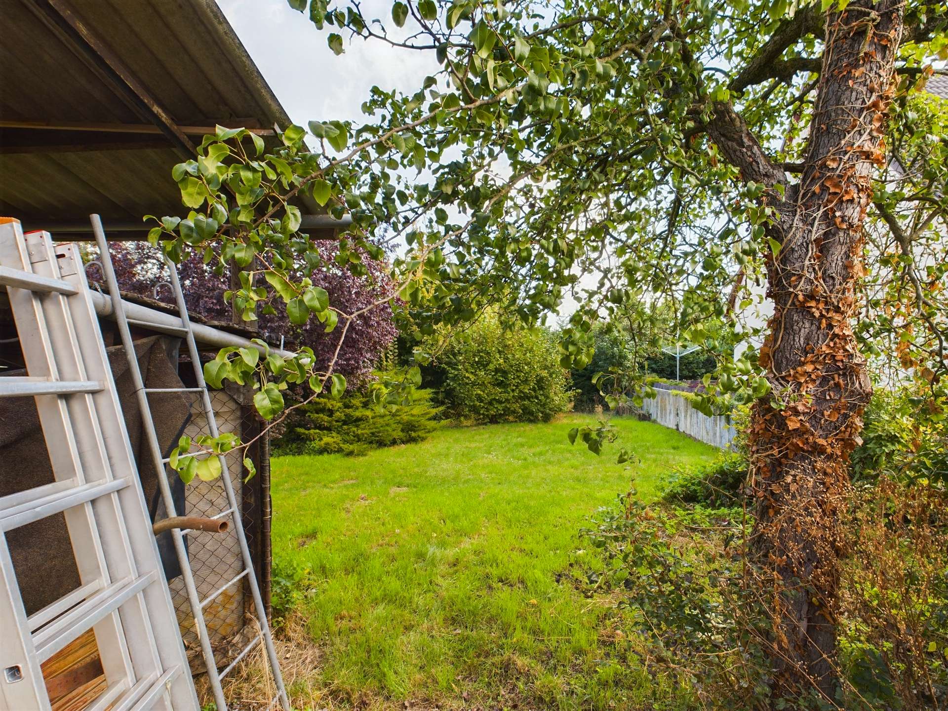 Blick auf einen grünen Garten mit Bäumen und einer Holzleiter im Vordergrund.