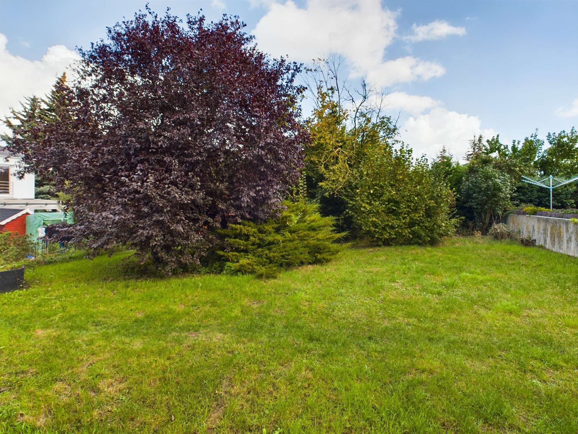 Grüner Garten mit einem großen, dunkelroten Baum und mehreren Büschen im Hintergrund unter einem bewölkten Himmel.