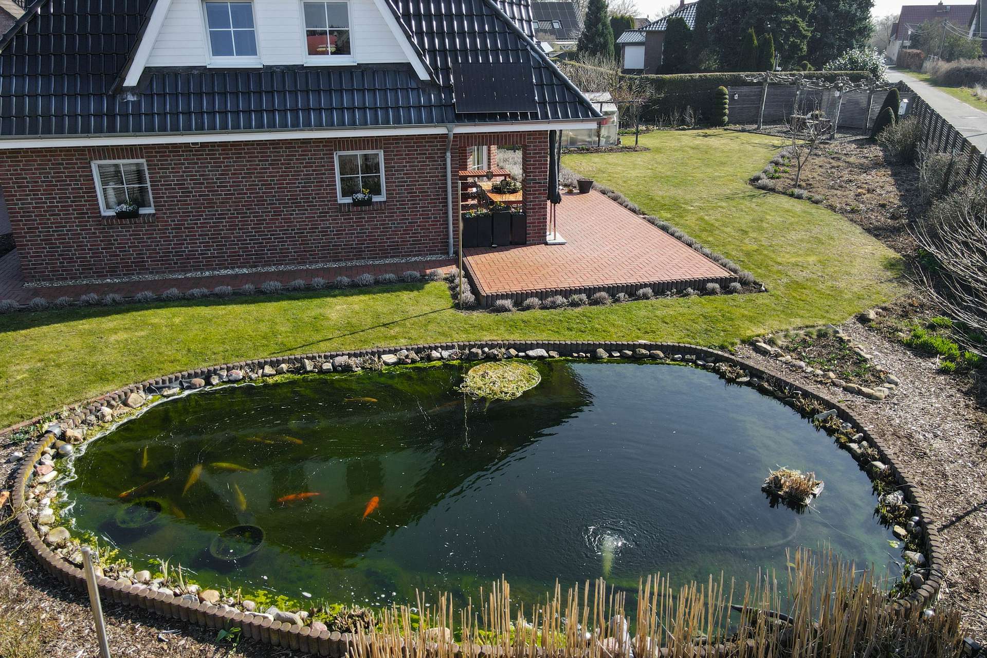 Ein gepflegter Garten mit einem Teich und einem modernen Haus im Hintergrund, umgeben von Rasen und Wegen.