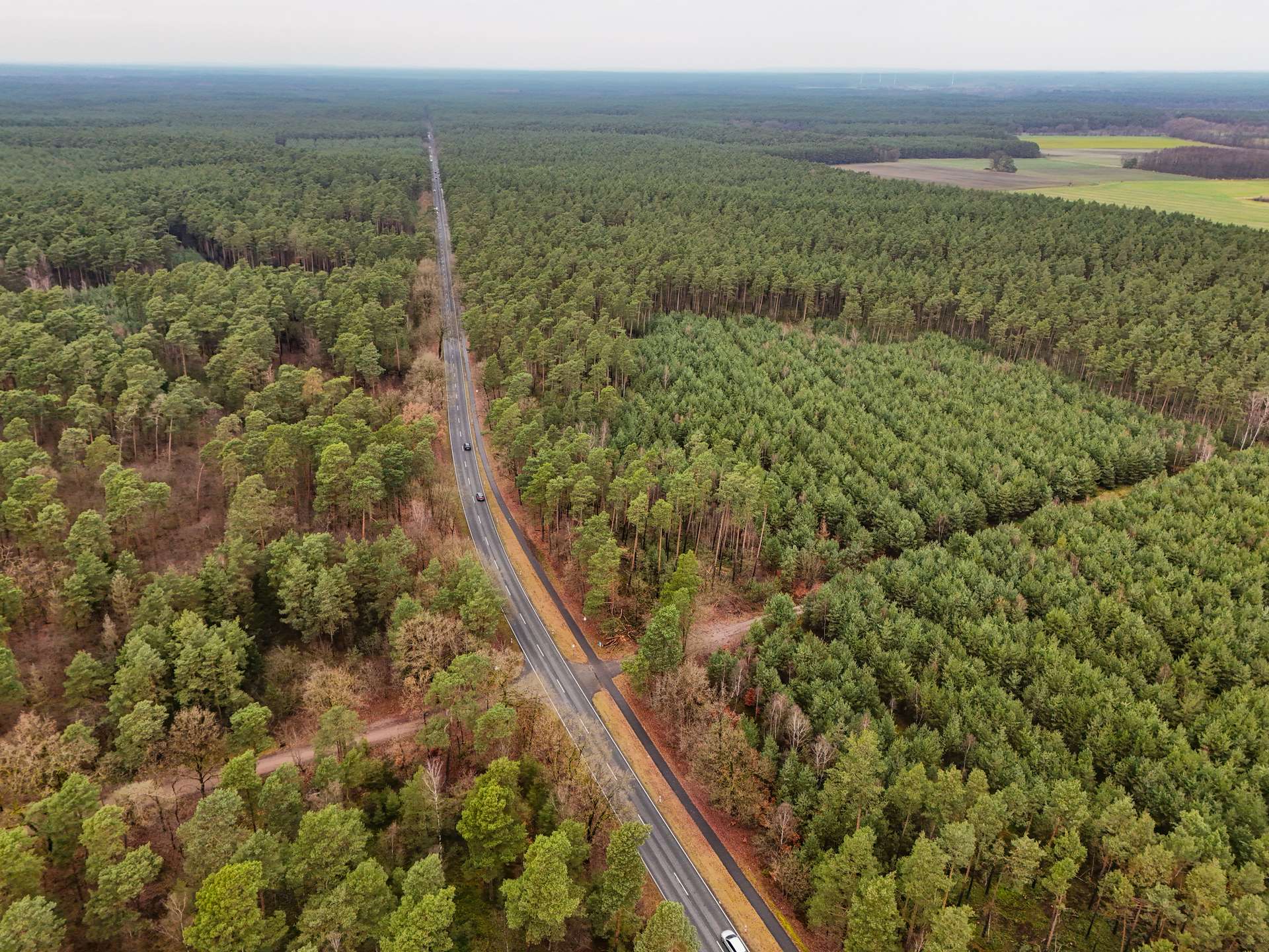 Luftaufnahme einer Straße, die durch dichten Wald führt, umgeben von grünen Bäumen und landwirtschaftlichen Flächen.